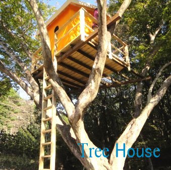 c[nEX@Tree House